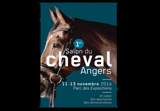 Visiteurs du Salon du cheval d’Angers, ne manquez pas Arnaud Ranch