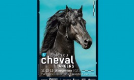 A très vite au Salon du Cheval d'Angers (49)