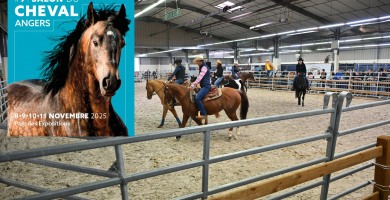 Salon du Cheval d’Angers 2025, toujours plus western !