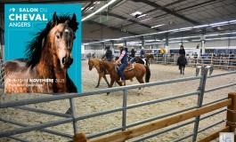 Salon du Cheval d’Angers 2025, toujours plus western !