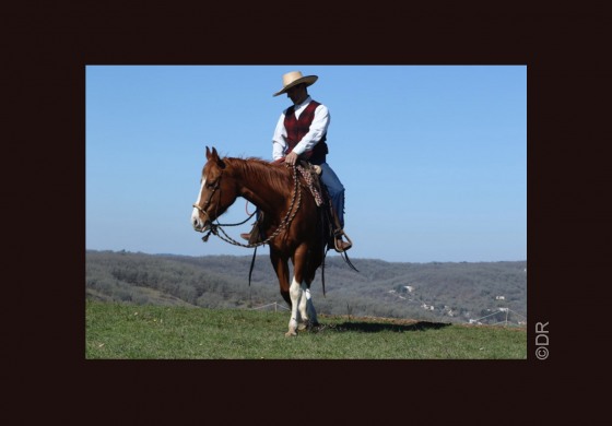 Western Horsemanship : faites le plein de démos à Lyon