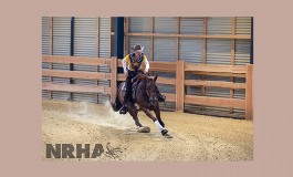 Ann Fonck devient Million Dollar Rider NRHA