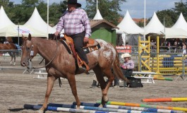 Championnat d’Europe Appaloosa 2013