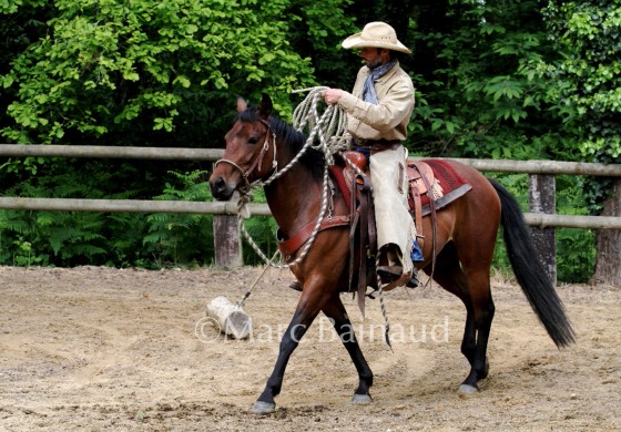 Printemps dynamique au Arnaud Ranch du Petit Auverné (44)