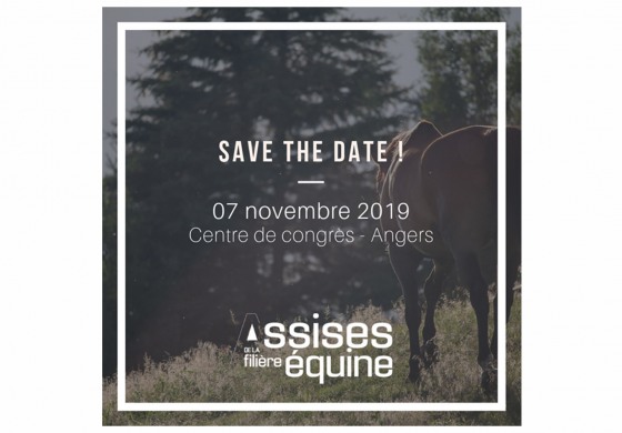 Le bien-être équin, on en débat…