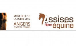 Le mercredi 18 octobre 2017 à Angers (49), la filière cheval se pose et regarde l’avenir…