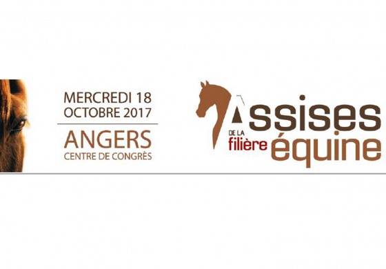 Le mercredi 18 octobre 2017 à Angers (49), la filière cheval se pose et regarde l’avenir…