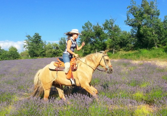 Le tour de France à cheval d’Aurélie, c’est parti