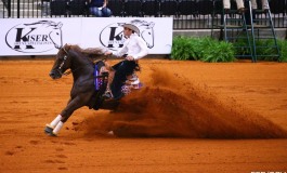 Reining au JEM de Tryon, deux Français en finale !