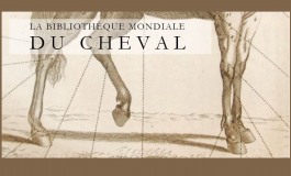 La Bibliothèque Mondiale du Cheval est ouverte !