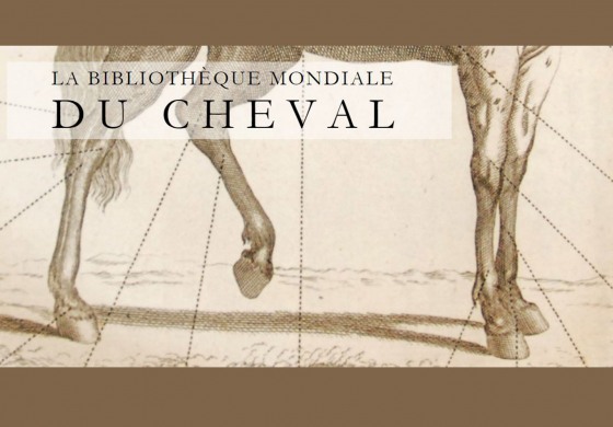 La Bibliothèque Mondiale du Cheval est ouverte !