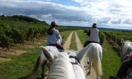 A cheval sur les chemins viticoles de l’appellation chinon les 2 et 3 septembre 2017