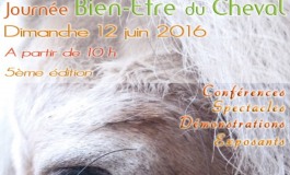 Tous les amis des chevaux ont rendez-vous à Strasbourg le 12 juin 2016
