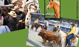 Le Salon du Cheval d’Angers 2022 savoure son succès… western