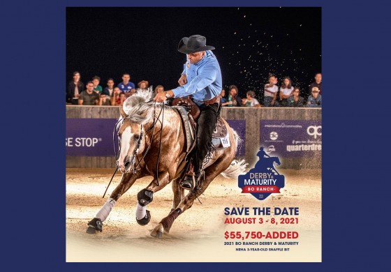 Reining au sommet, c’est en ce moment en Seine-et-Marne