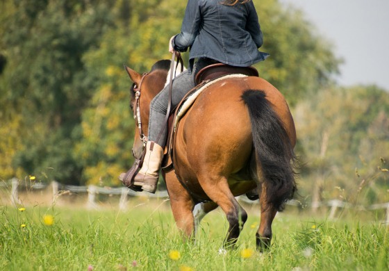 Deux ostéopathes vous invitent à revoir vos postures à cheval
