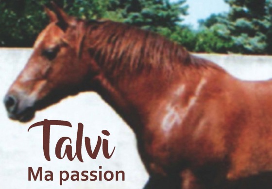 Il s’appelait Talvi et c’était mon cheval…