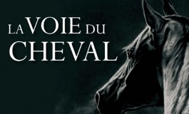 Quand le cheval vous conduit vers la sagesse