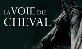 Quand le cheval vous conduit vers la sagesse