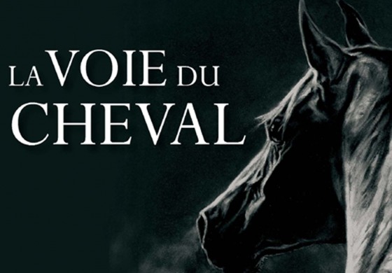 Quand le cheval vous conduit vers la sagesse