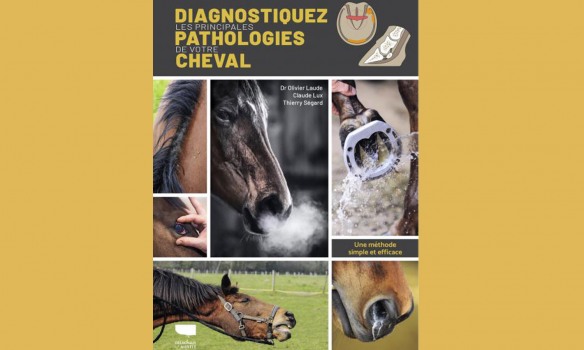 Santé équine : l’ouvrage qu’il vous faut