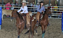 Les photos de Bourgbarré (35) - Ranch sorting et team penning - Championnat Interassociation les 19/20/21 août 2016