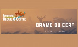 Cette année on ne rate pas le brame du cerf