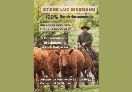 Ranch Horsemanship en Mayenne