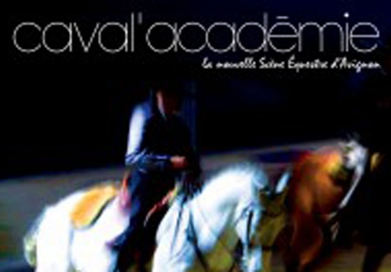 Caval’Académie en Avignon, rendez-vous en fin de semaine