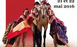 Les chevaux mènent la danse à Saumur