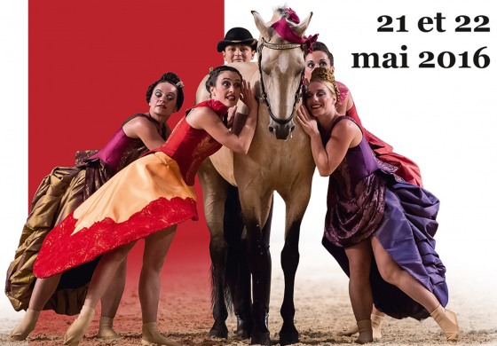 Les chevaux mènent la danse à Saumur