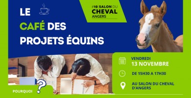 Filière équine : les projets se dessinent à Angers