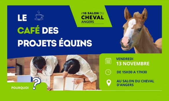 Filière équine : les projets se dessinent à Angers