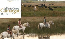 Les cowgirls et cowboys du delta du Rhône fêtent leur cheval de coeur