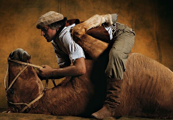 « Les plus beaux chevaux du monde » sont sur Campagnes TV