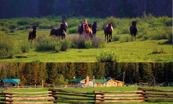 Retrouvez le Canada au fil des saisons dans Newestern # 50…