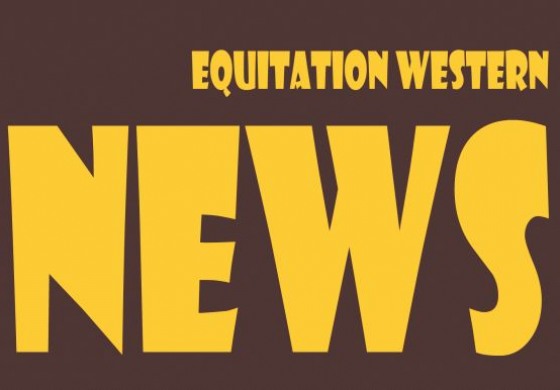 Cheval TV, un nouveau média s’annonce