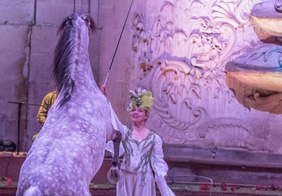 A Chantilly, l’exercice d’excellence du spectacle équestre se renouvelle à chaque saison