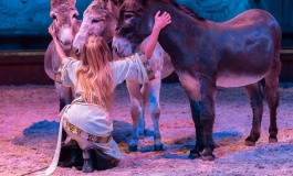 Une Nuit des Musées bien animée à Chantilly