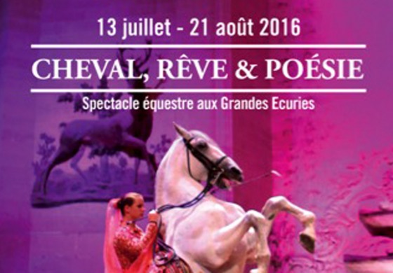 Les jeunes chevaux entrent en piste cet été sous le dôme des Grandes Ecuries de Chantilly