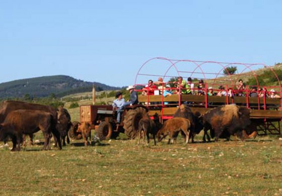 Prenez dates avec Randals Bison à Lanuejols (30) et… à Montpellier (34)