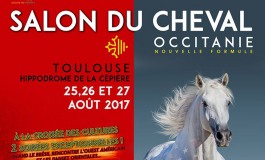 L’équitation western à l’honneur au Salon du Cheval de Toulouse du 25 au 27 août 2017