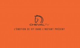 Cheval TV, arrivée prévue le 15 mars 2018