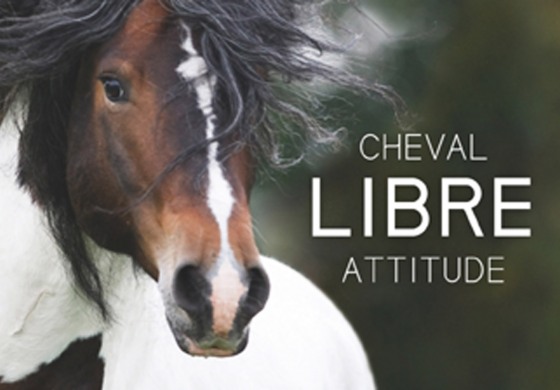 Et le cheval fut… en images et rien que pour le plaisir des yeux