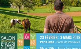 Salon de l’Agriculture à Paris : une conférence spéciale « cheval »