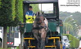 Le cheval, quand il arrive en ville !