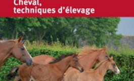 Mises à jour pour les éleveurs