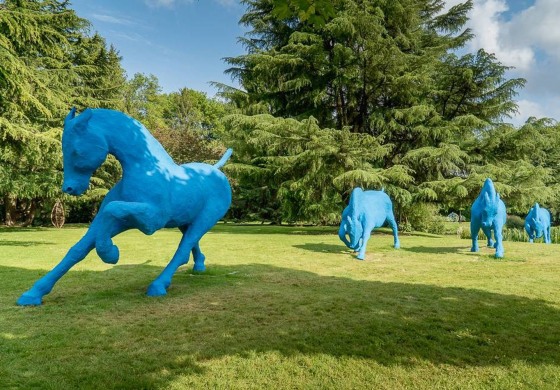 A Hennebont (56) le cheval en voit de toutes les couleurs !