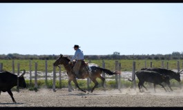 Antoine Cloux, Hank Moss… La Camargue est terre de cowboys le 14 juillet 2019