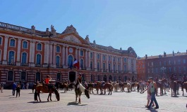 Salon du Cheval de Toulouse (31) - 29 au 31 août 2014